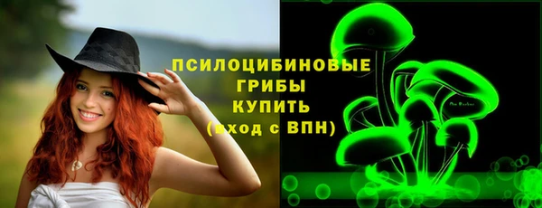 крисы Гусь-Хрустальный