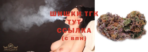 ALPHA PVP Гусев