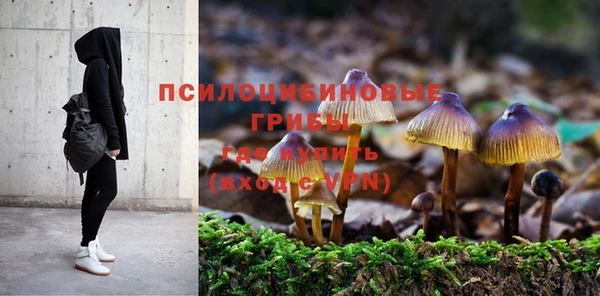 крисы Гусь-Хрустальный