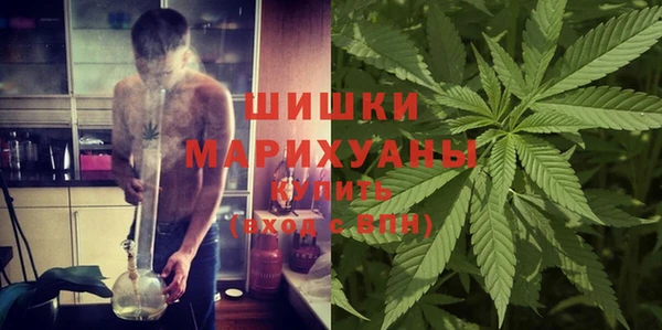 крисы Гусь-Хрустальный