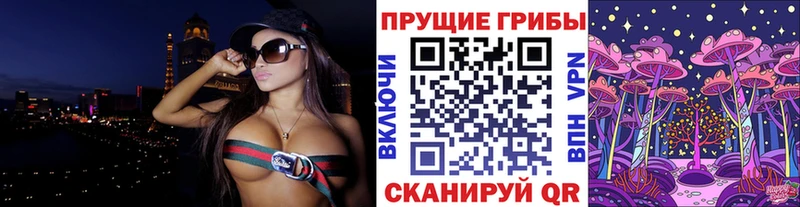 купить  цена  hydra зеркало  Галлюциногенные грибы GOLDEN TEACHER  Озёрск 